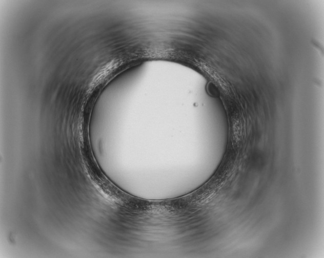 X0000096460682200802071834