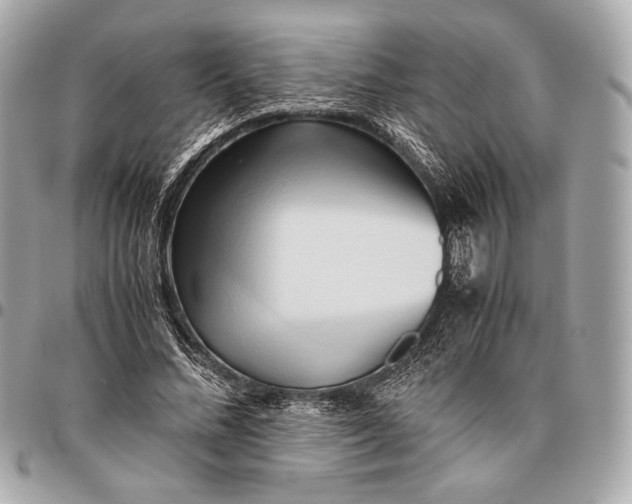 X0000096460684200802071834