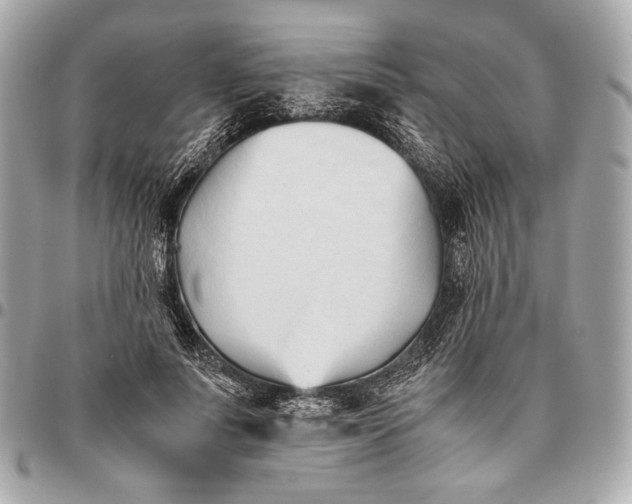 X0000096460691200802071834