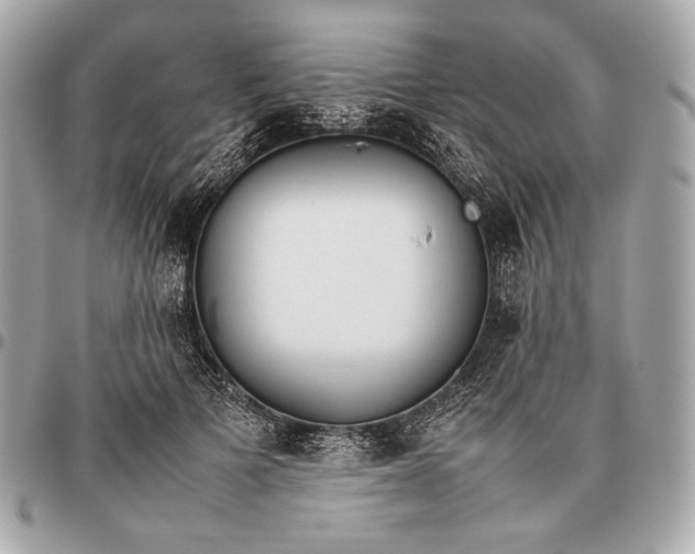 X0000096460697200802071834