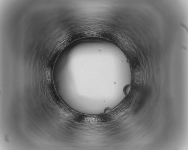 X0000096460699200802071834