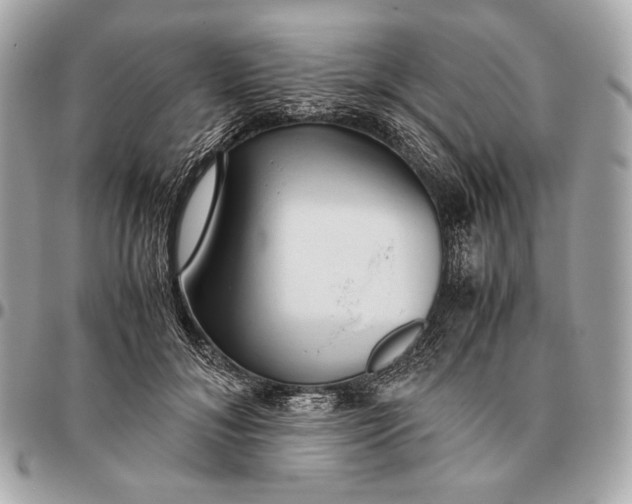 X0000096460700200802071834