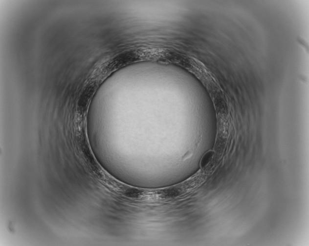 X0000096460701200802071834
