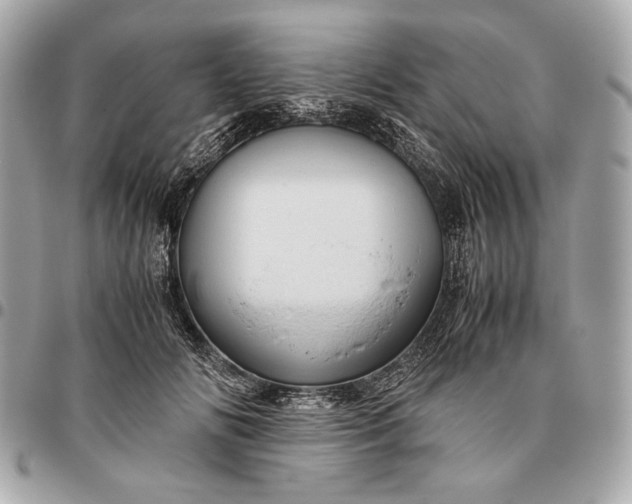 X0000096460702200802071834