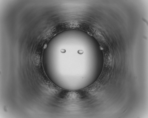X0000096460704200802071834