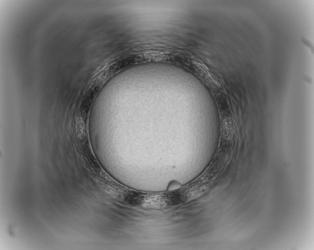 X0000096460705200802071834