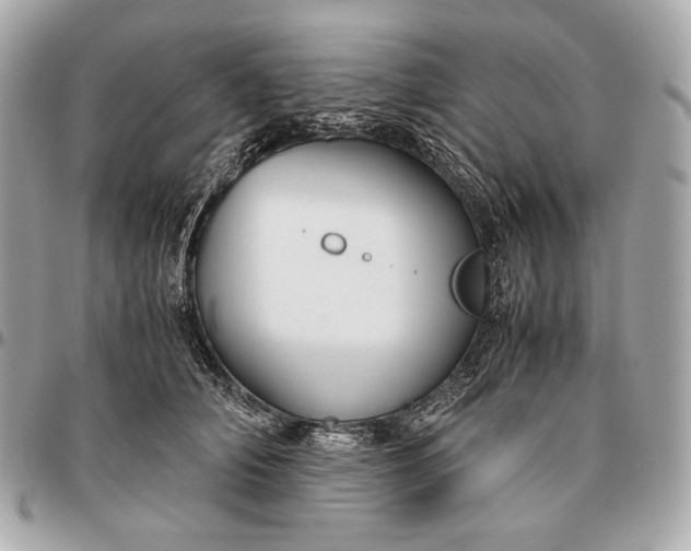 X0000096460706200802071834