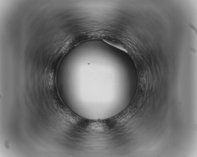X0000096460708200802071834
