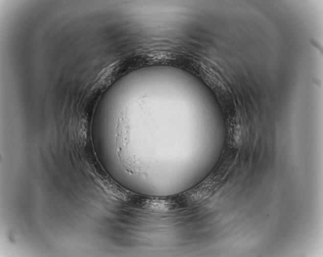 X0000096460710200802071834