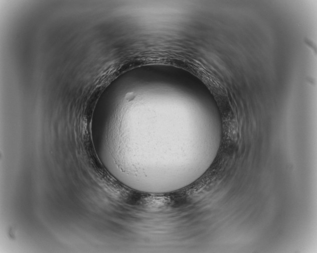 X0000096460711200802071834