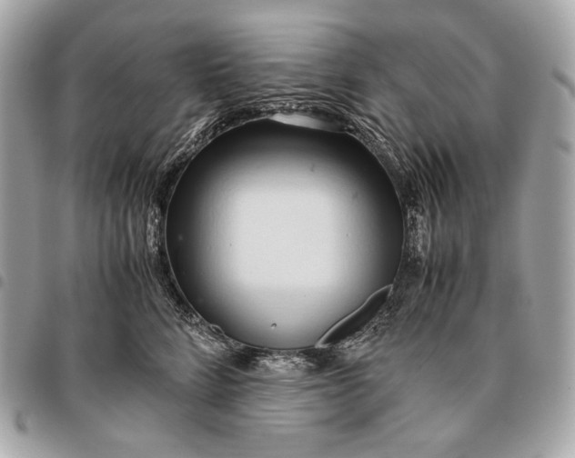 X0000096460712200802071834