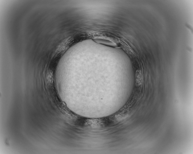 X0000096460713200802071834