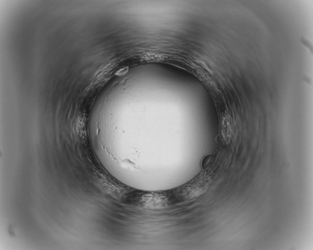 X0000096460714200802071834