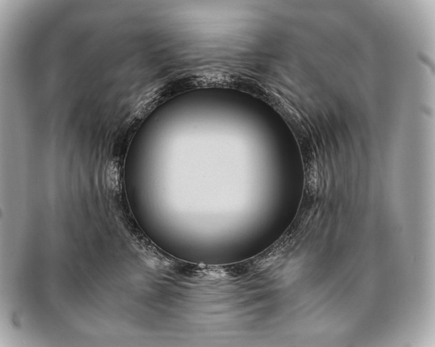 X0000096460715200802071834