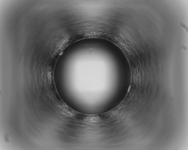 X0000096460716200802071834