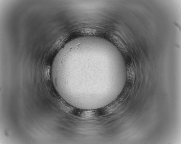 X0000096460717200802071834