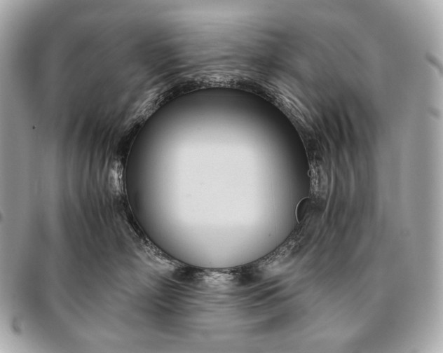 X0000096460718200802071834