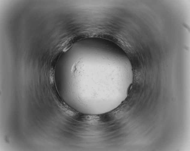 X0000096460719200802071834