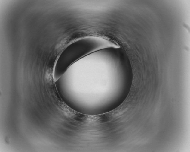X0000096460720200802071834