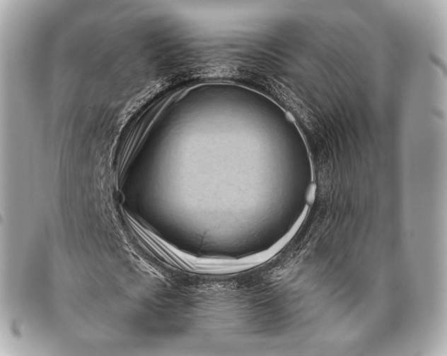 X0000096460721200802071833