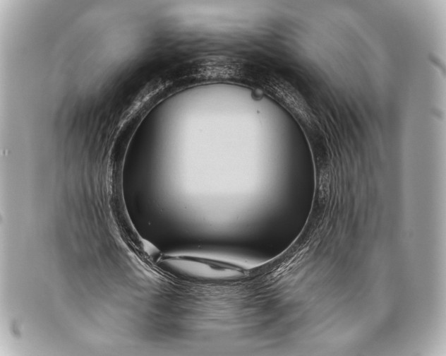 X0000096460722200802071833