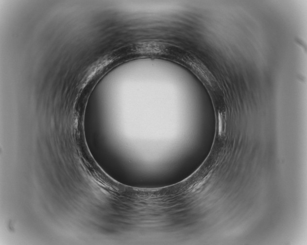 X0000096460723200802071833