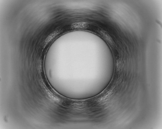 X0000096460725200802071833