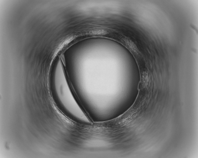 X0000096460726200802071833