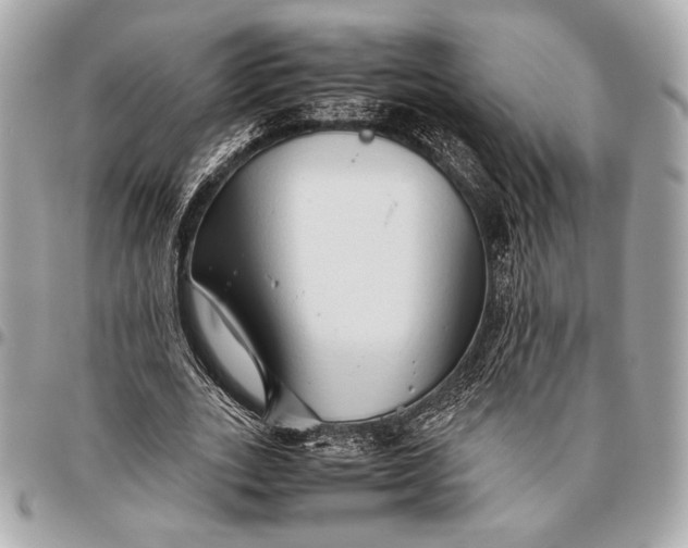 X0000096460727200802071833