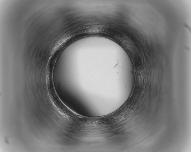 X0000096460728200802071833