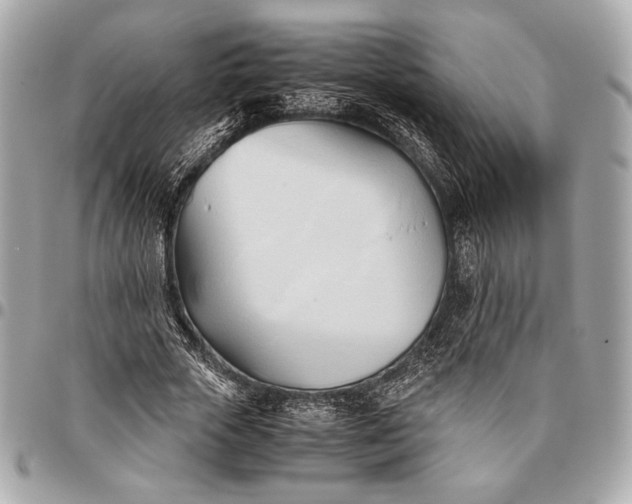 X0000096460729200802071833