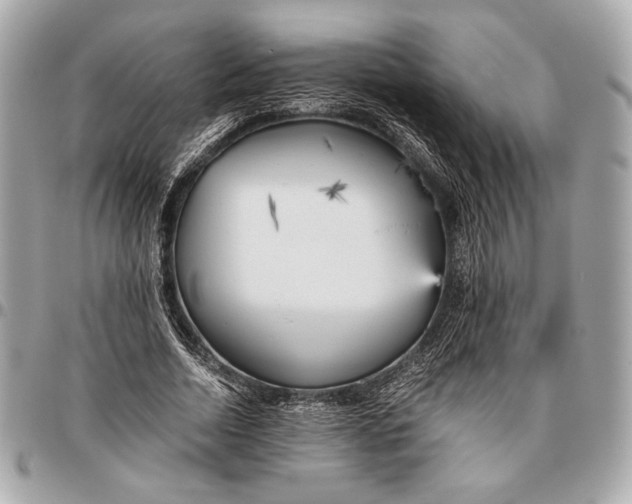 X0000096460730200802071833