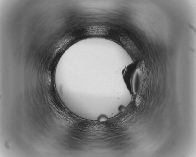 X0000096460731200802071833