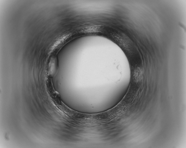 X0000096460732200802071833