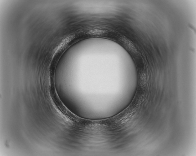 X0000096460734200802071833