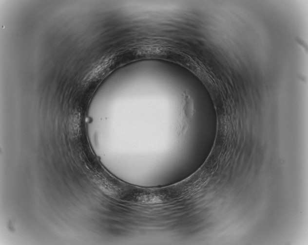 X0000096460735200802071833