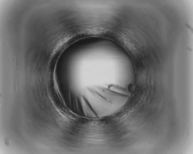 X0000096460736200802071833