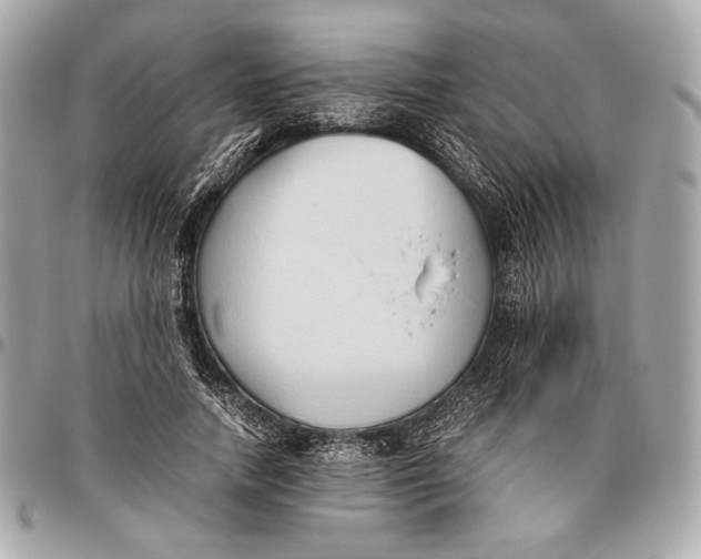 X0000096460738200802071833