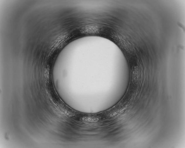 X0000096460739200802071833