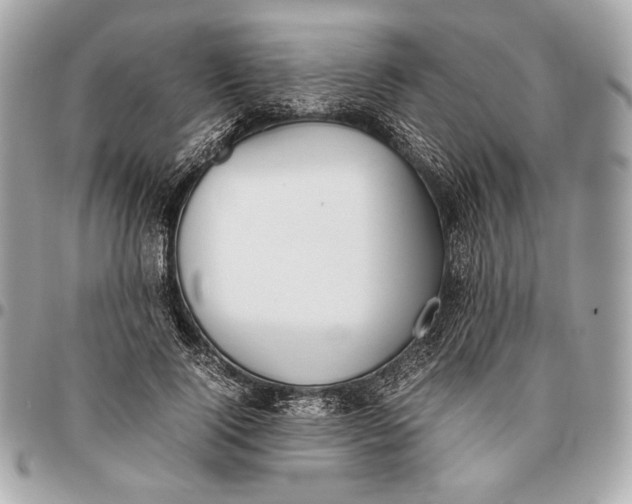 X0000096460740200802071833
