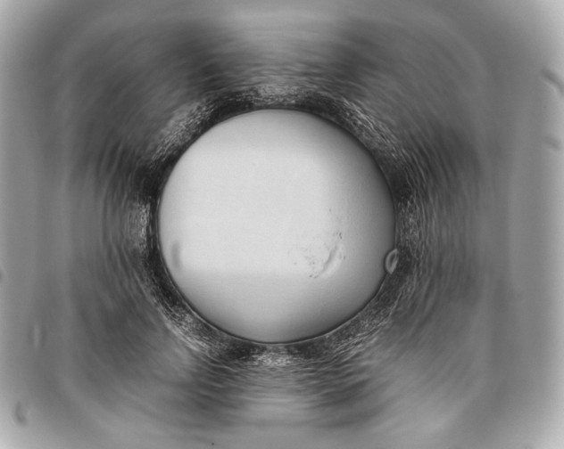 X0000096460742200802071833