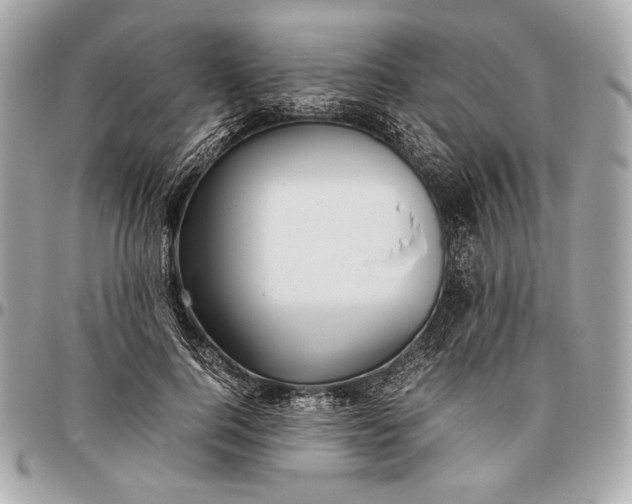 X0000096460744200802071833