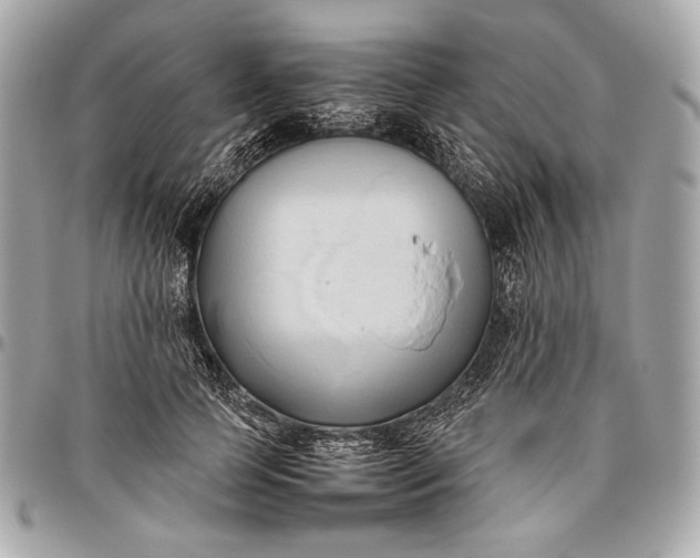 X0000096460745200802071833