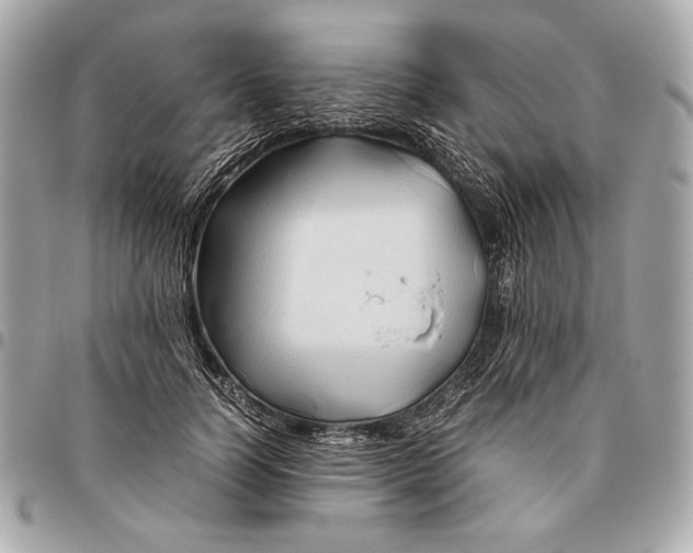 X0000096460746200802071833