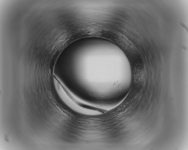 X0000096460748200802071833