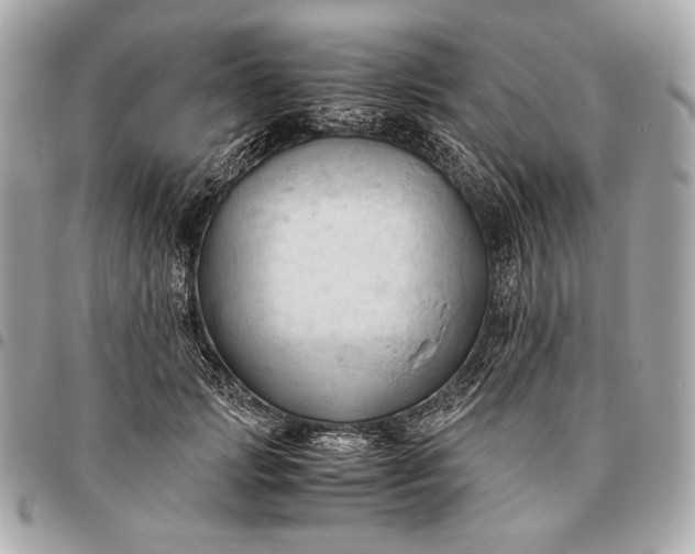 X0000096460749200802071833