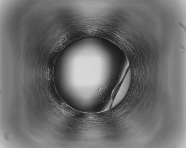 X0000096460750200802071833