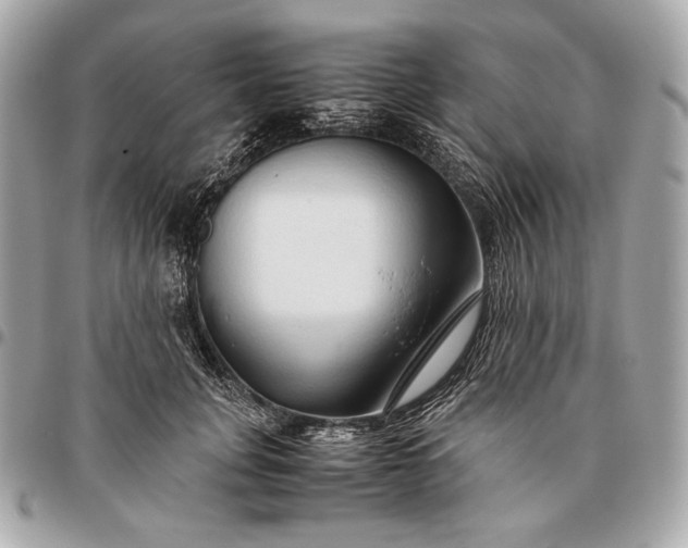 X0000096460751200802071833