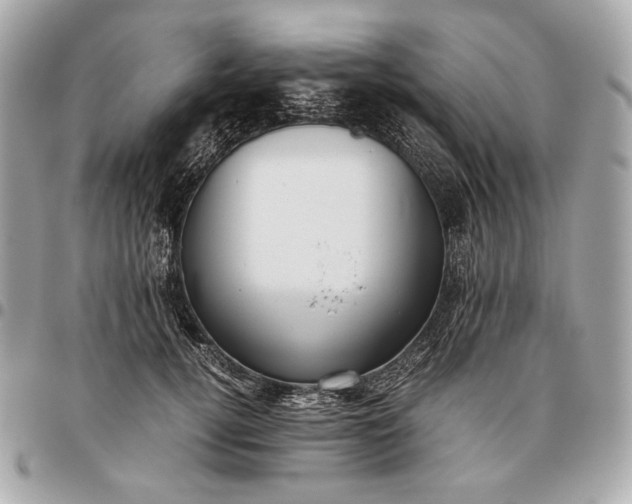 X0000096460752200802071833