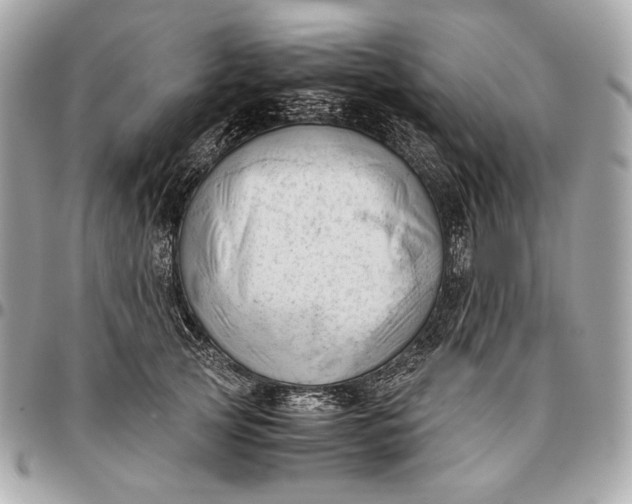 X0000096460753200802071833